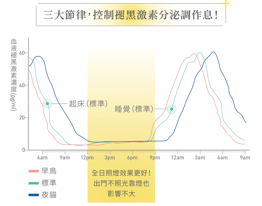 不出門,靠燈也能調整節律 三大節律,控制褪黑激素